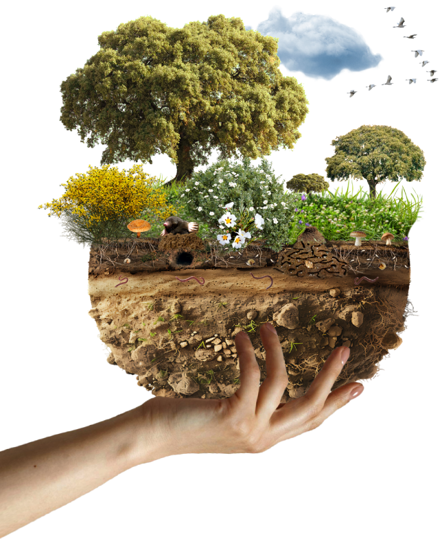 area biodiversidad URJC Somos el area de biodiversidad y conservacion de la URJC