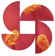 Simbolo de grado en biologia