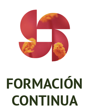 Icono formacion continua