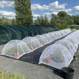 Imagen de la galeria Unete a biodiversas 1