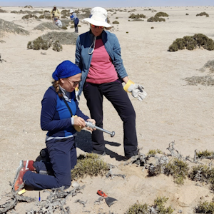 Imagen de la galeria Unete a biodiversas 10