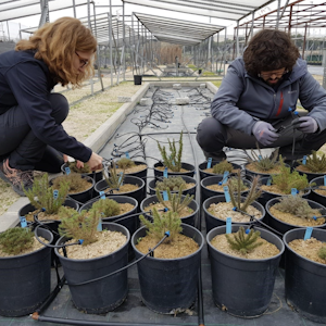 Imagen de la galeria Unete a biodiversas 12