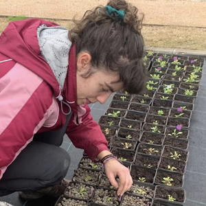 Imagen de la galeria Unete a biodiversas 2