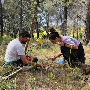 Imagen de la galeria Unete a biodiversas 5
