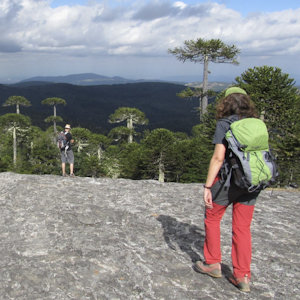 Imagen de la galeria Unete a biodiversas 9