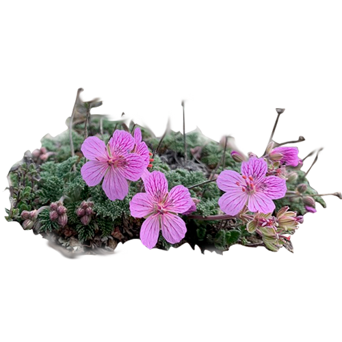 Biologia de la conservacion biodiversas