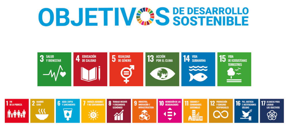 ODS logo ODS logotipo