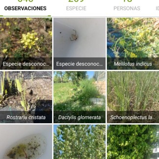 Imagen de la galeria Maraton de Biodiversisad 4