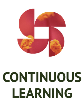Continuous learning