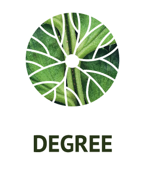 Degree Icon