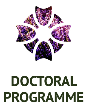 Doctoral Programme Icon