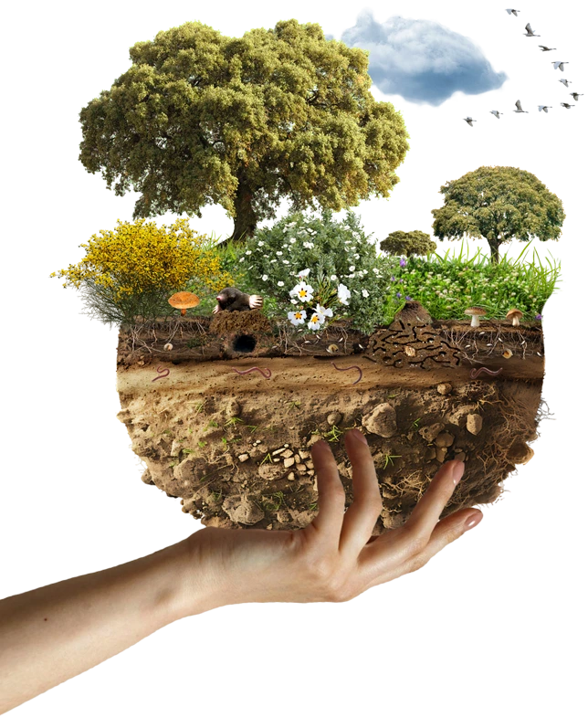 area biodiversidad URJC Somos el area de biodiversidad y conservacion de la URJC