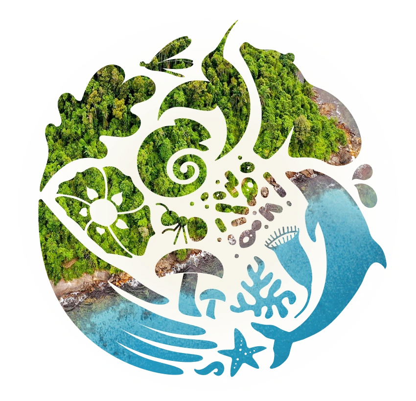 Descubre quienes somos en Biodiversas