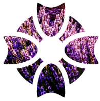 Icono recursos naturales