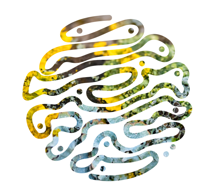 Quienes somos en biodiversas