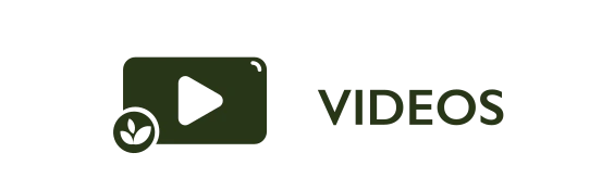 Videos Icon Biodiversas